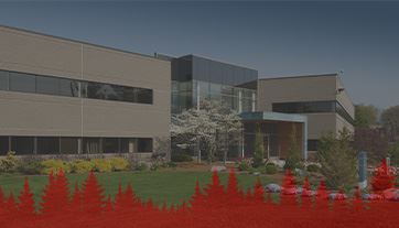 Commercial Pest Control