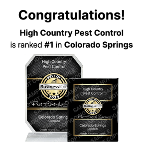 A digital award showing High Country Pest Control’s recognition as the #1 pest control service in Colorado Springs. | High Country Pest Control
